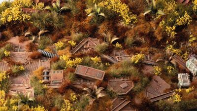 Broom Flowers Inhalt