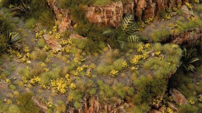 Dandelion Tiny Flowers Inhalt