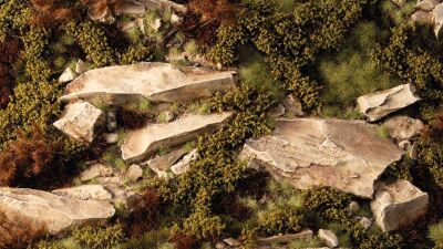 Dry Green Shrubs Inhalt