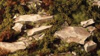 Dry Green Shrubs Inhalt