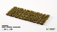 Dry Green Shrubs Diorama