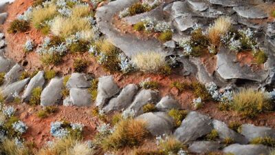 Forget-me-not Tiny Flowers Inhalt