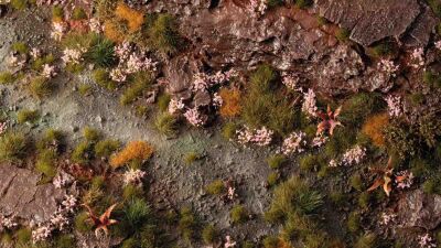 Pink Orchid Tiny Flowers Verpackung