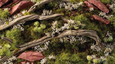 White Rose Flowers Inhalt