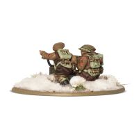 British &amp; Canadian Infantry (Winter) MMG Team