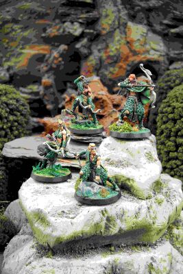 Protectors of the Forest