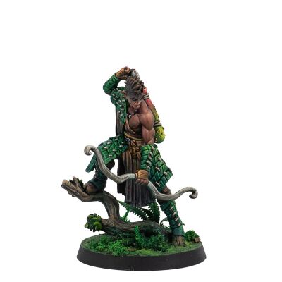 Protectors of the Forest