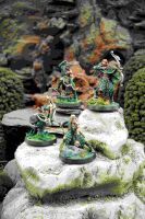 Protectors of the Forest