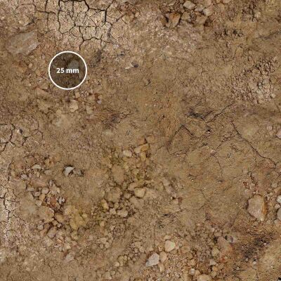 Arid Plain