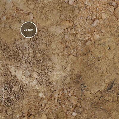 Arid Plain