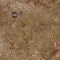 Arid Plain