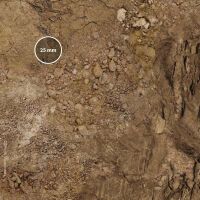 Arid Plain