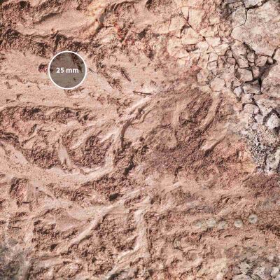 Alien Planet