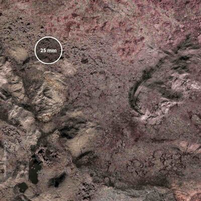 Alien Planet