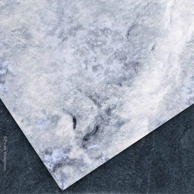 Frosty Plain
