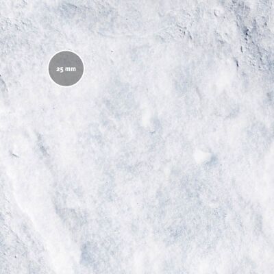 Frosty Plain