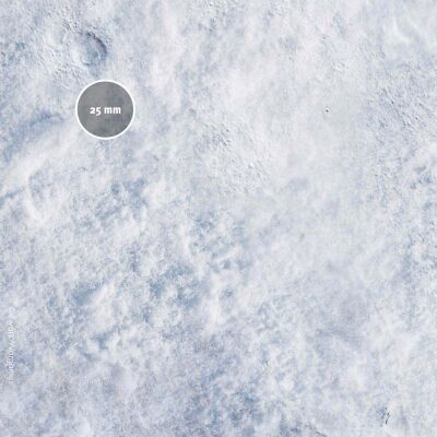 Frosty Plain
