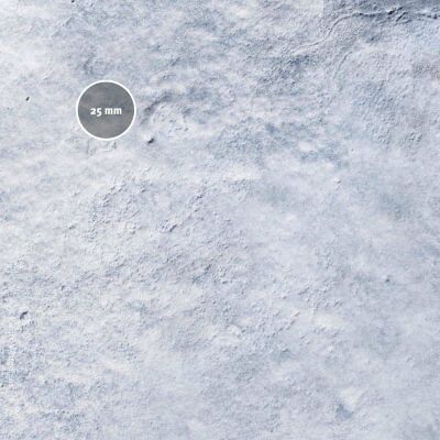 Frosty Plain