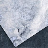 Frosty Plain