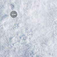 Frosty Plain