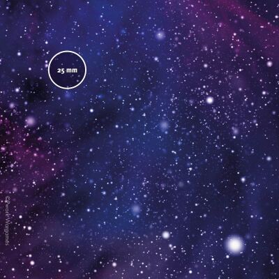 Star System