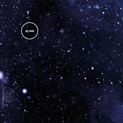 Star System