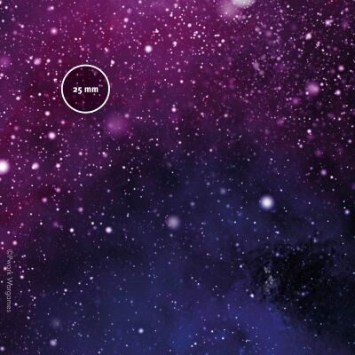 Star System