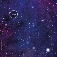 Star System