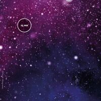 Star System