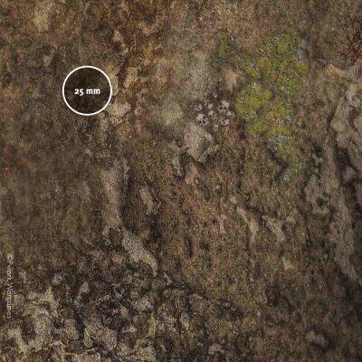 Deadland