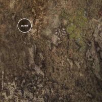 Deadland