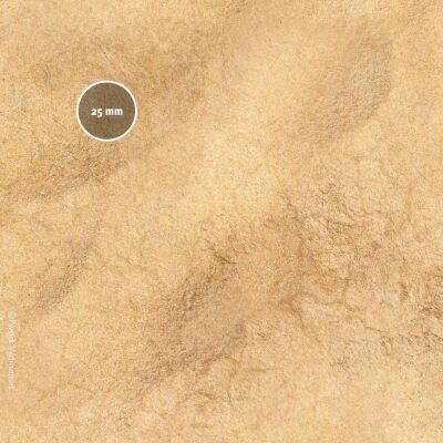 Desert Dune