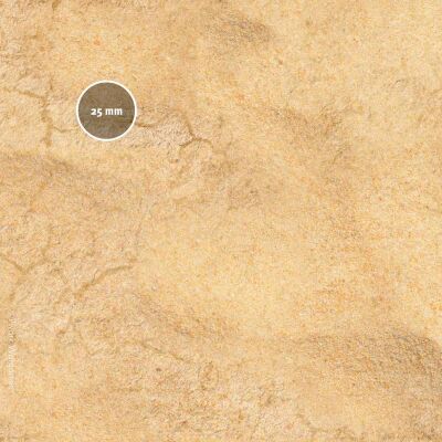 Desert Dune