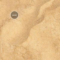 Desert Dune