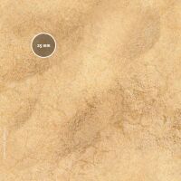 Desert Dune