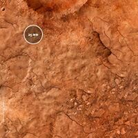 Lands Of Mars
