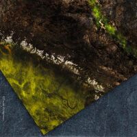 Lifeless Land