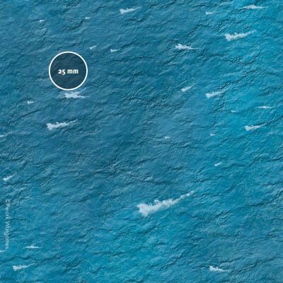 Seas Of War