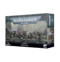 Rekruten-Bundle: Erwachen der stillen Legion