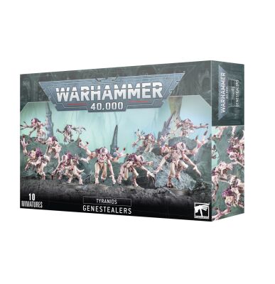 Rekruten-Bundle: Vorboten des Schwarms