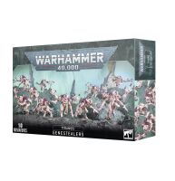 Rekruten-Bundle: Vorboten des Schwarms