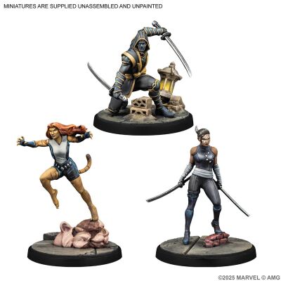 Marvel: Crisis Protocol &ndash; Echo, Ronin &amp; Tigra Character Pack Inhalt
