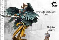 Trinnavarta Sabhagrih