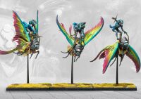 Ciannir Riders