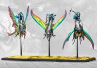 Ciannir Riders