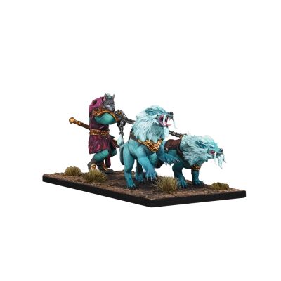 Kings of War: Xirkaali Witch Hunter Shuugch
