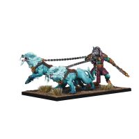 Kings of War: Xirkaali Witch Hunter Shuugch Inhalt