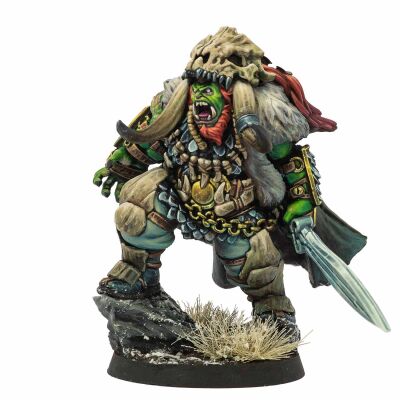 Northern Tribes Action Pack Inhalt