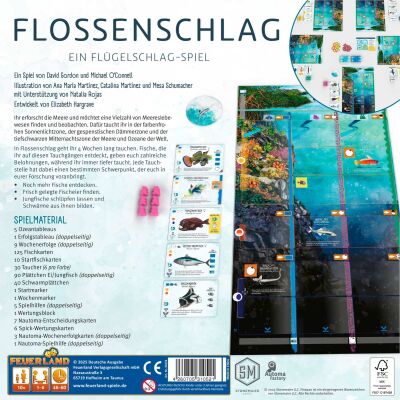 Flossenschlag R&uuml;ckseite