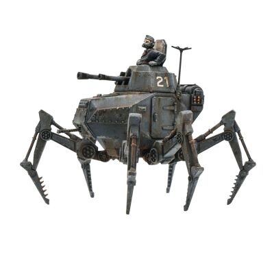 Vogelspinne Light Walker Miniatur